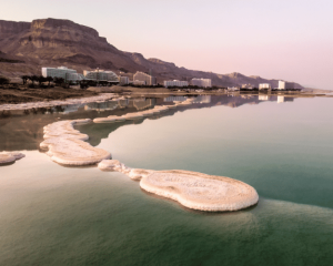 Are Dead Sea mushrooms a wonder of nature or man-made?