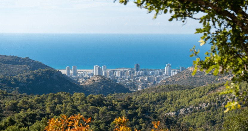 View from Hai Bar Carmel to Haifa Bay