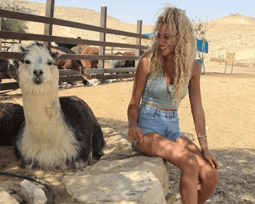 fun with alpacas,Hadara Travel