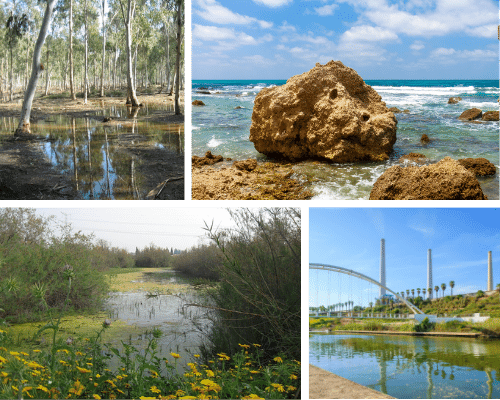 5 places that must be visited in the Hadera area