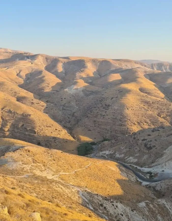 הדרה מטיילת במדבר יהודה מצפה אורית