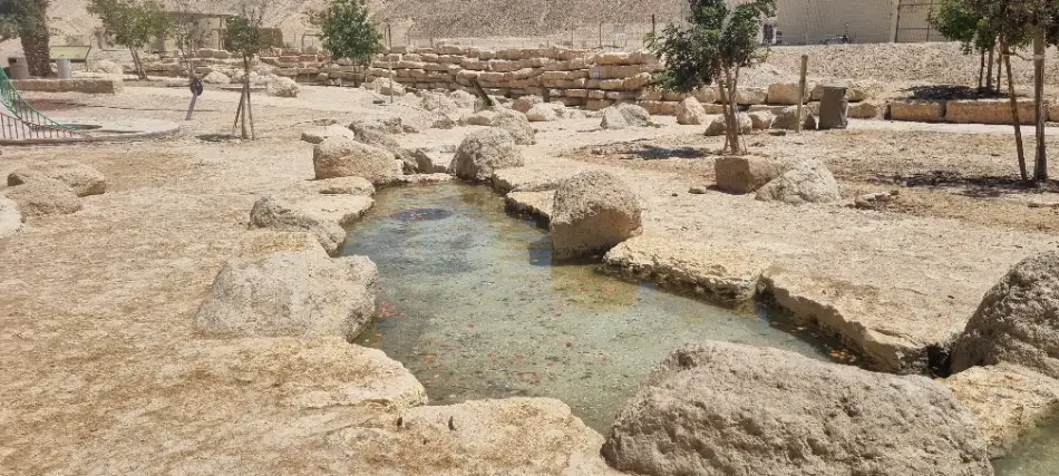 פארק אקולוגי נחל אמציהו - 3 דק' הליכה מהרכב